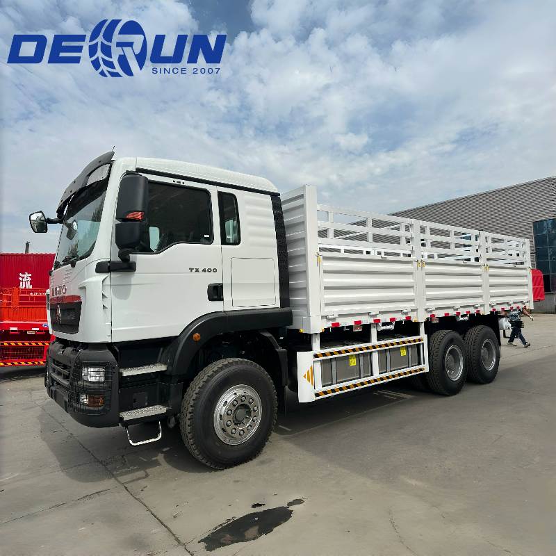 Sinotruk Howo 6x4 TX कार्गो ट्रक